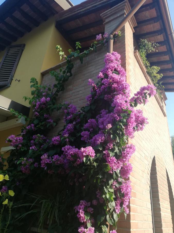 Casolare Isabella "Il Rifugio Dei Vinili" And Alice'S Room Ponsacco Bagian luar foto